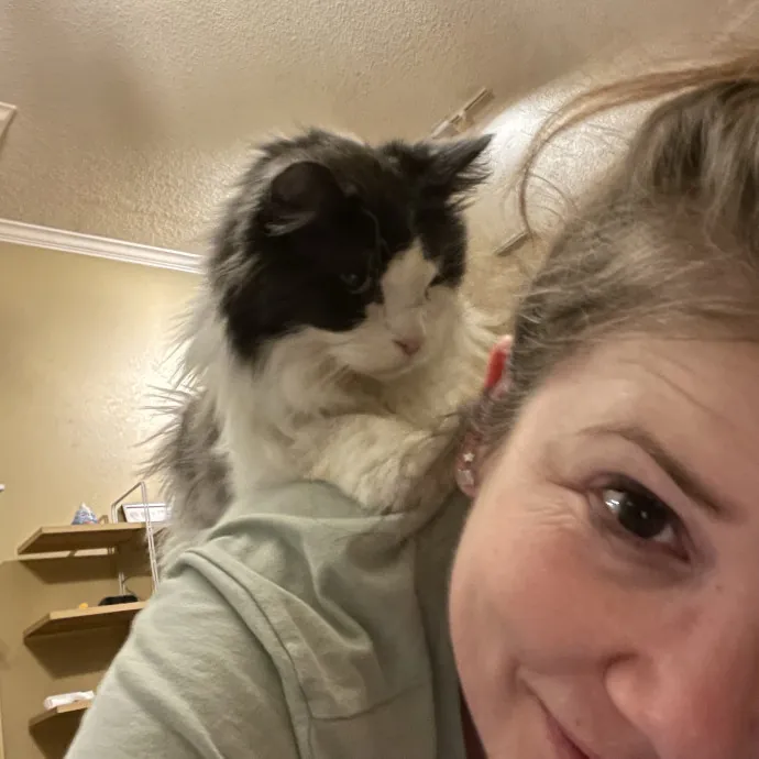 Cat Lover With Pet Sitting Experience