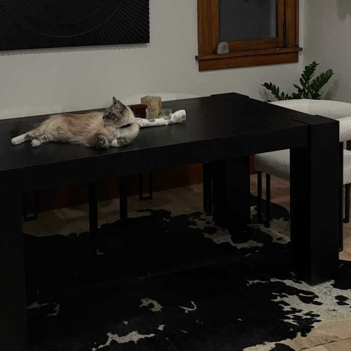 Cam's Cat Sitting