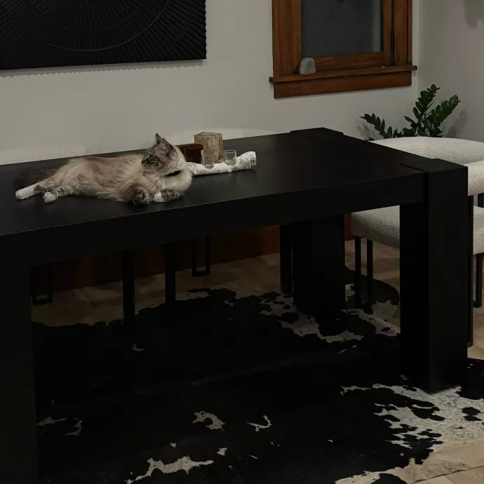 Cam's Cat Sitting