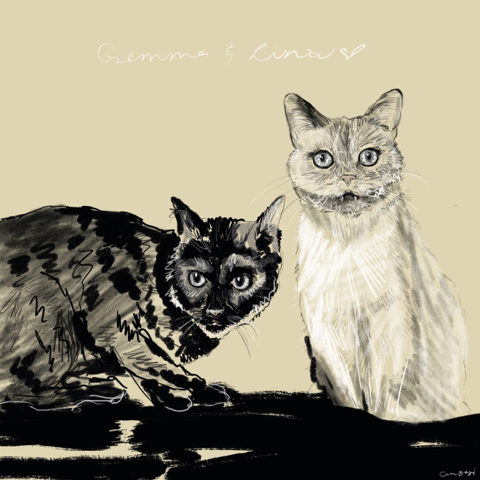 Cam's Cat Sitting