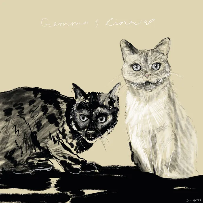 Cam's Cat Sitting