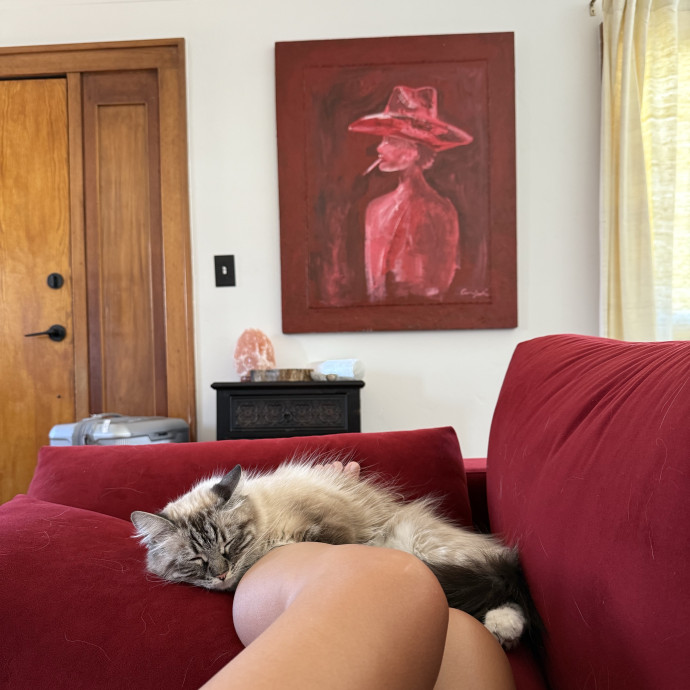 Cam's Cat Sitting
