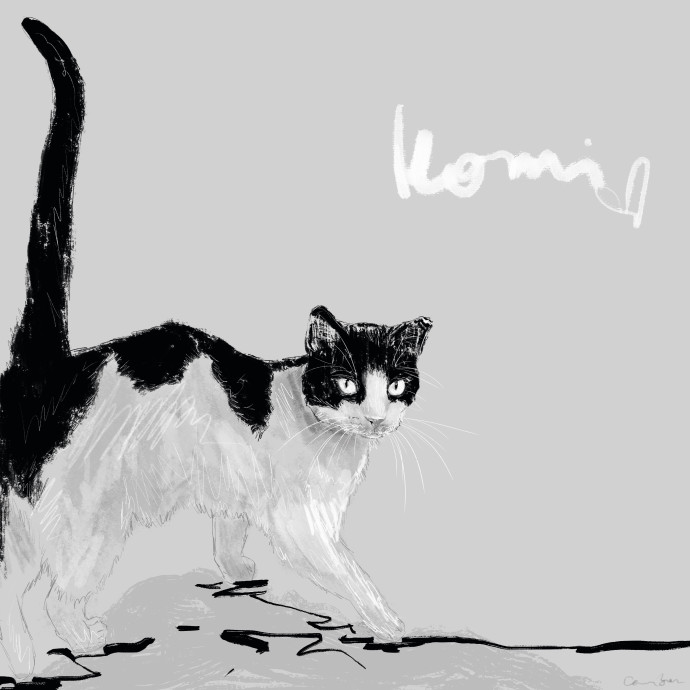 Cam's Cat Sitting