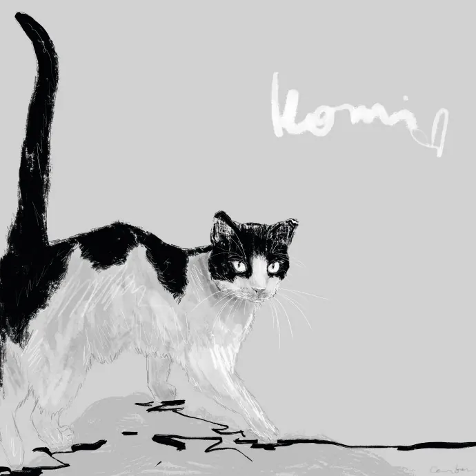 Cam's Cat Sitting