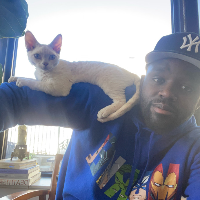 Uncled Nyc Meow Kingdome