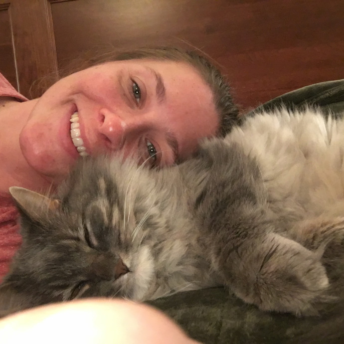 Gentle Care Trust  Love For Every Cat photo 3