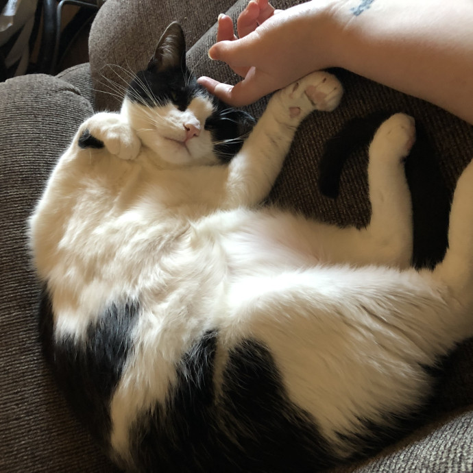Jess' Blesses