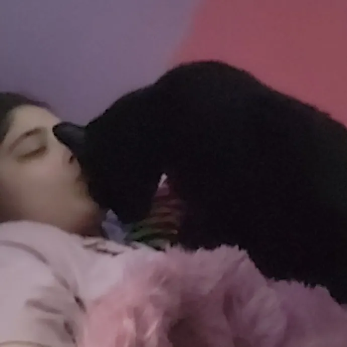 Kitties Are The Best