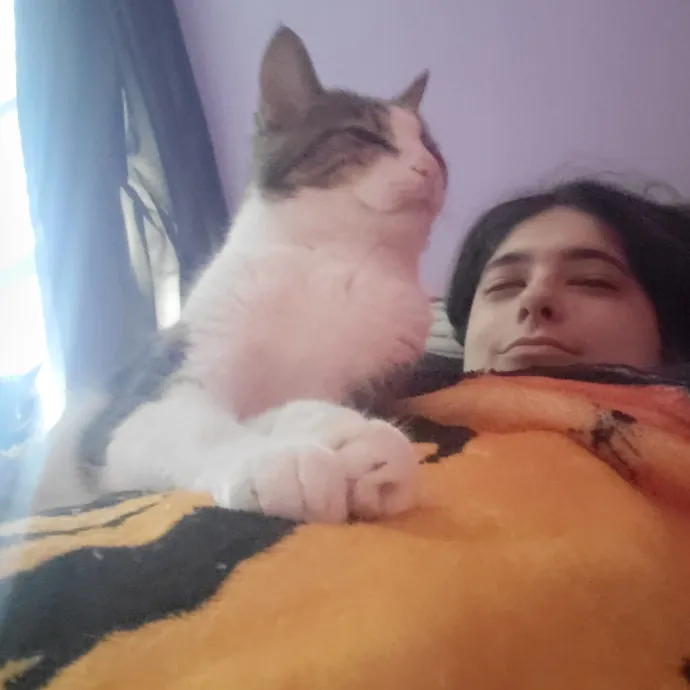 Kitties Are The Best photo 2
