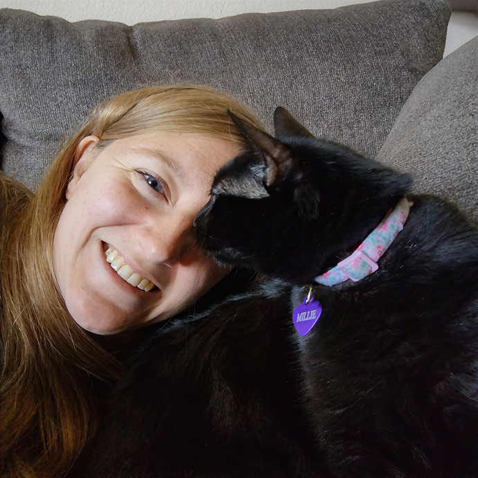 Lindsey's Kitty Care