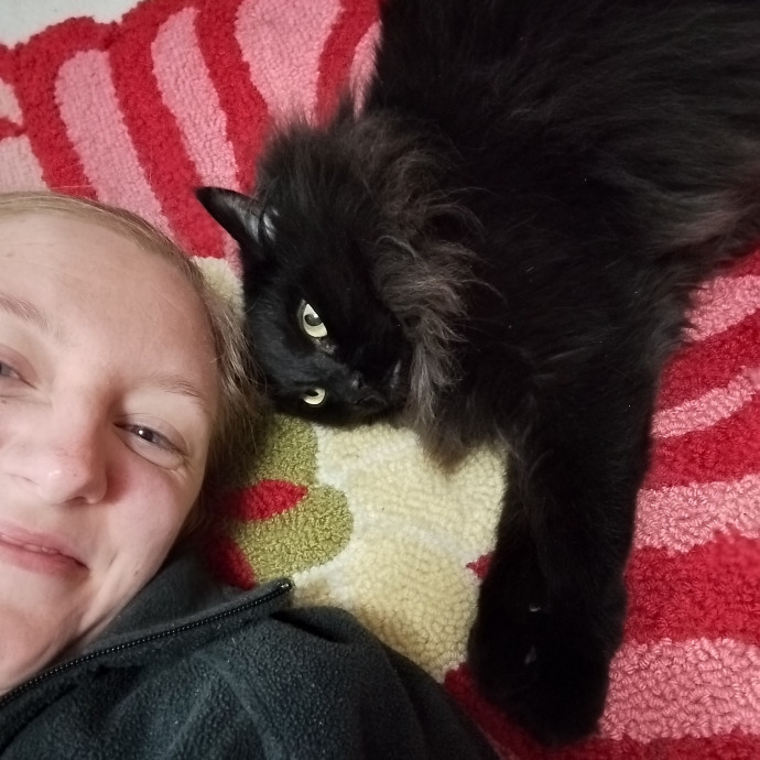 Lindsey's Kitty Care