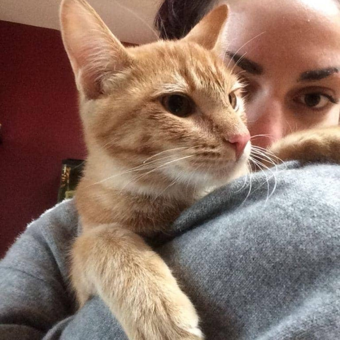 Caring For Animals Is My Passion