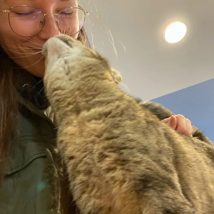 Paws And Playtime With Sofiya Ultimate Purr-Fect Care