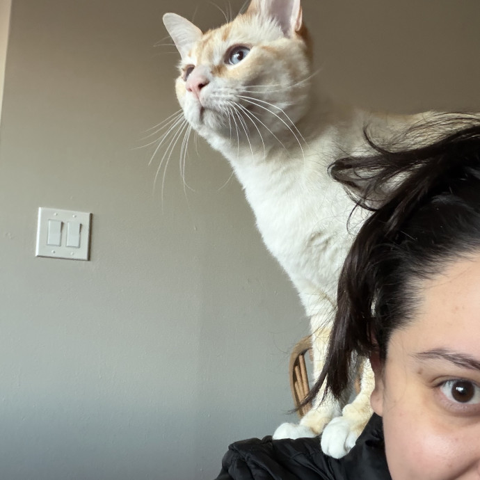 Professional Cat Sitter