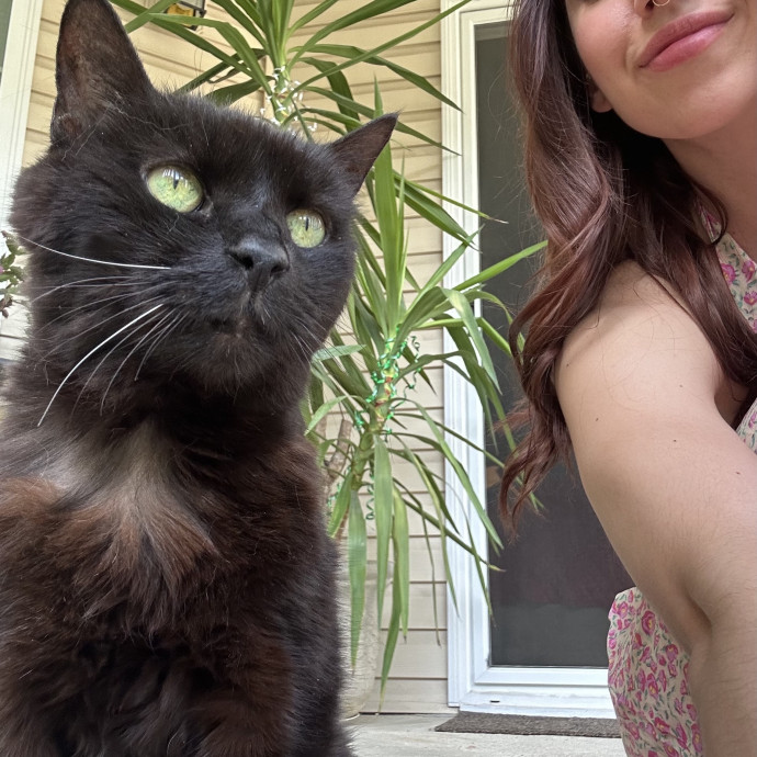 Professional Cat Cuddler