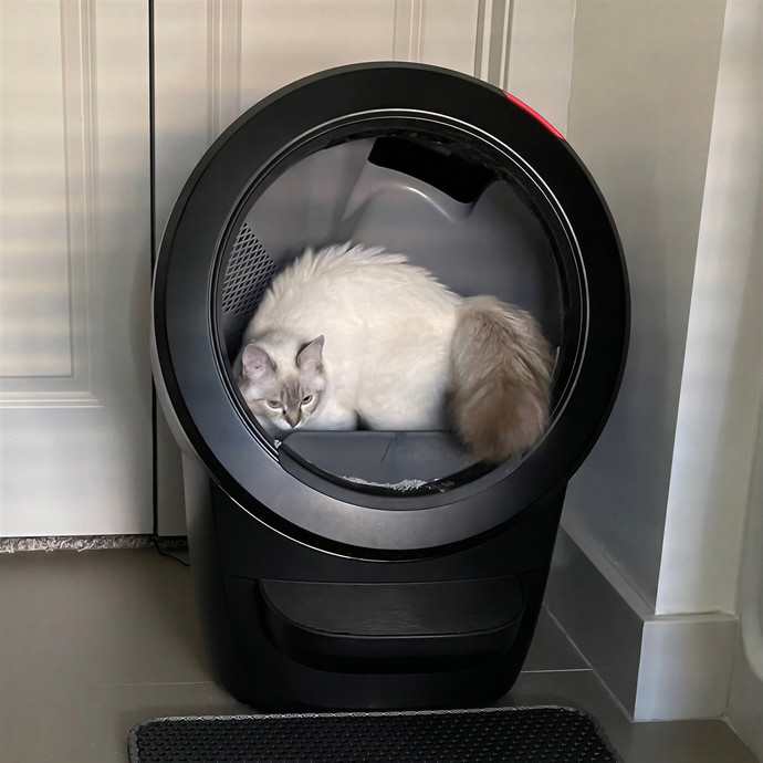 Libby's Kitty City