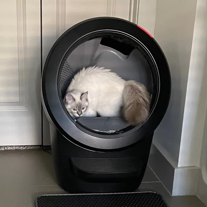 Libby's Kitty City photo 4
