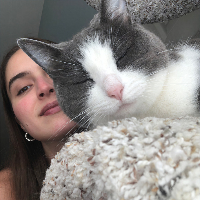 Emma's Upper East Side Cat Sitting photo 3