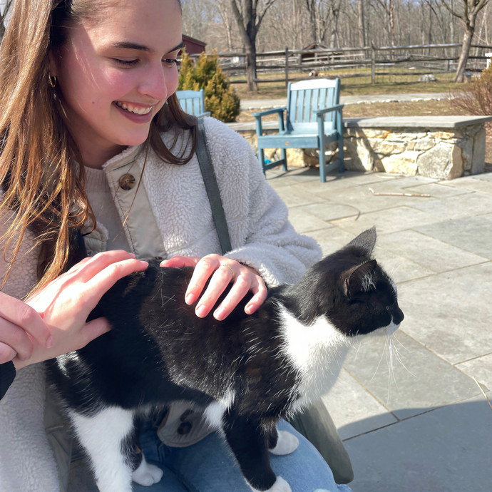 Emma's Upper East Side Cat Sitting photo 2