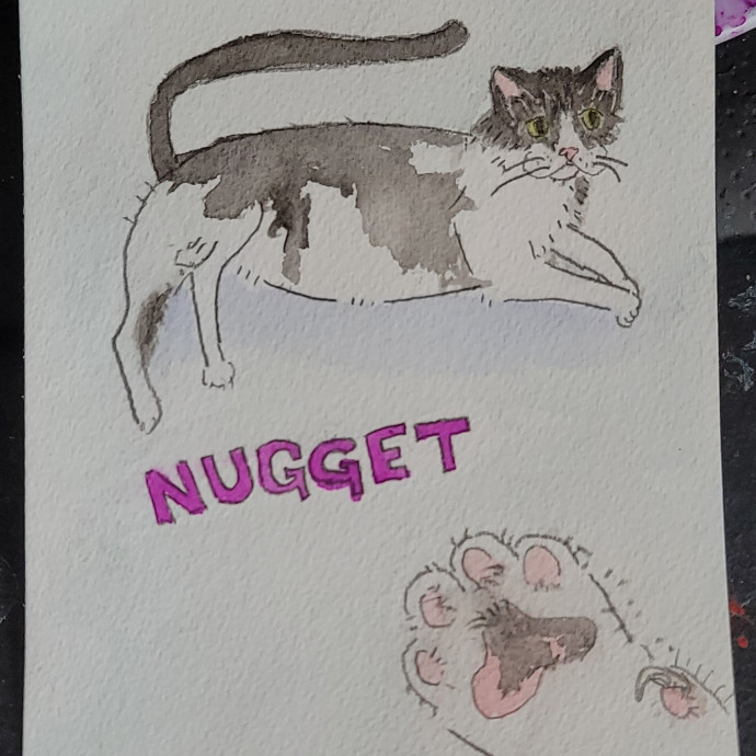Custom Cat Watercolor With Booking