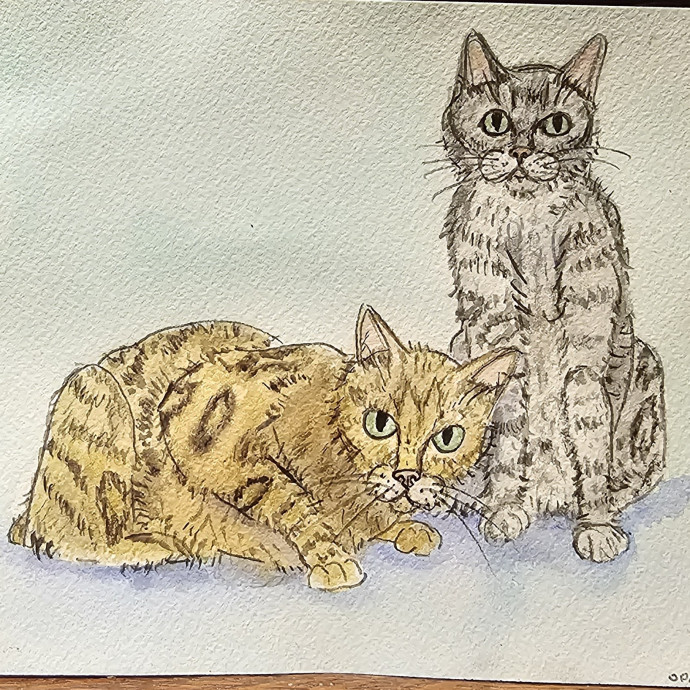 Custom Cat Watercolor With Booking