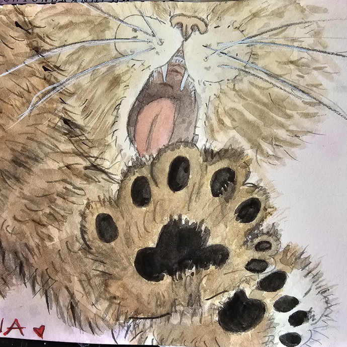 Custom Cat Watercolor With Booking