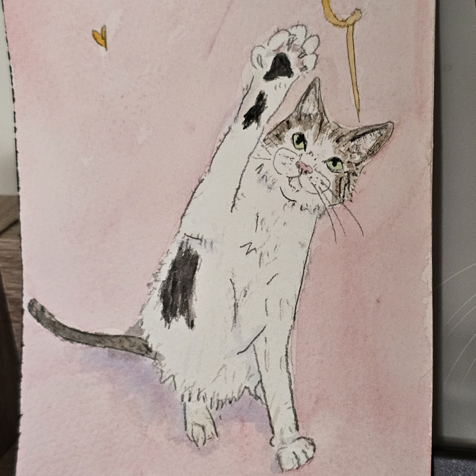 Custom Cat Watercolor With Booking