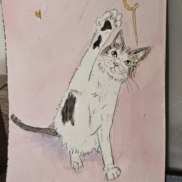 Chloe C.
