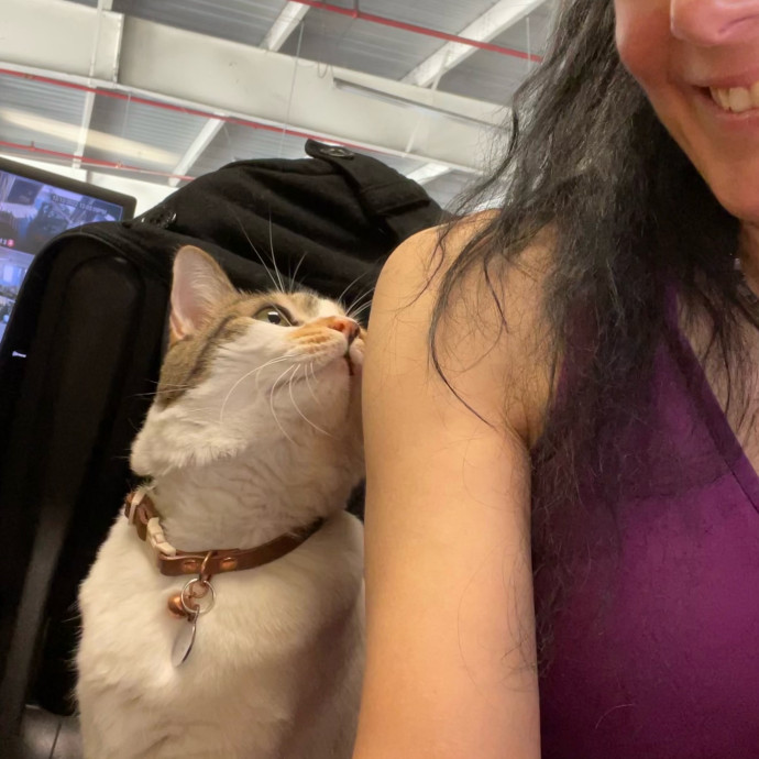 Kitties Are Earth Angels