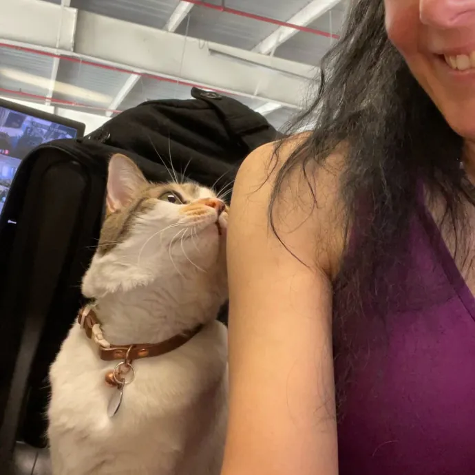 Kitties Are Earth Angels