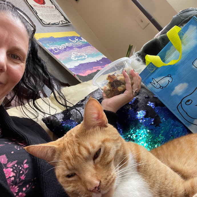 Kitties Are Earth Angels