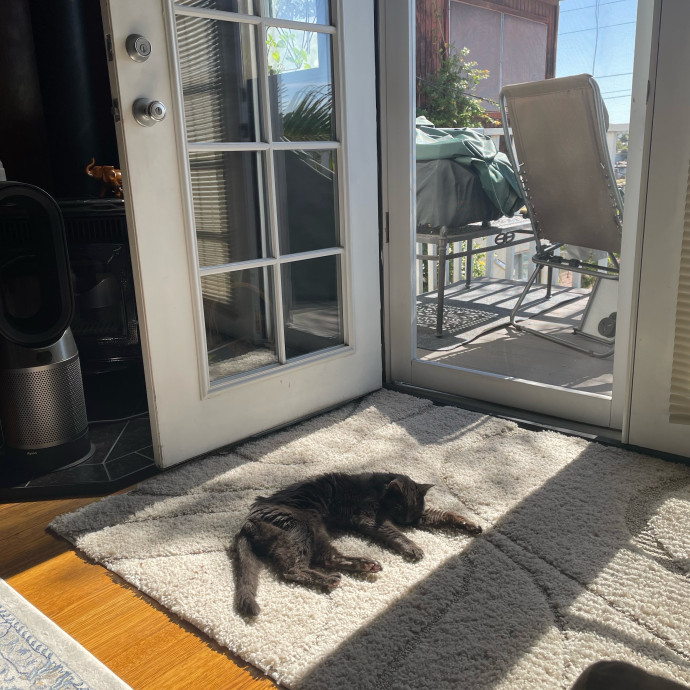 Kitties Are Earth Angels