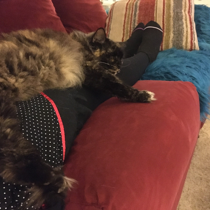 Kitties Are Earth Angels