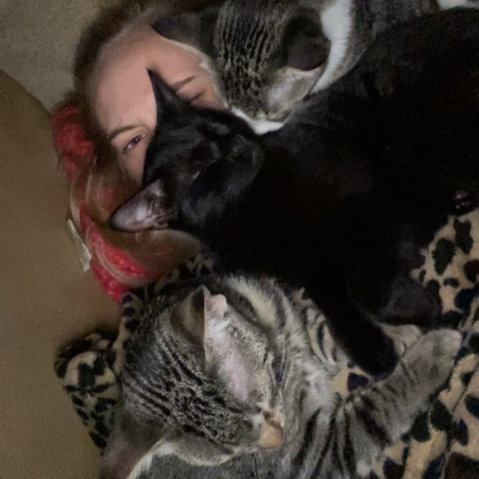 Cat Care Specialist