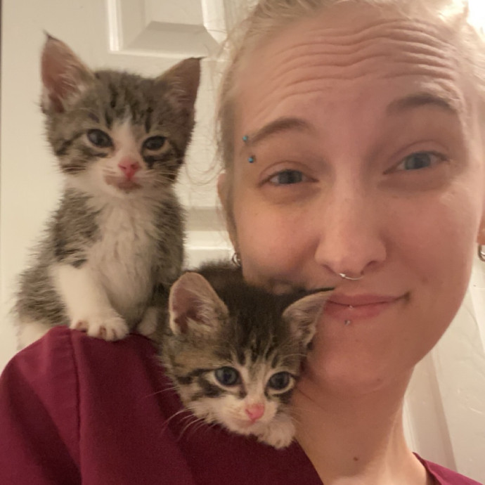 Cat Care Specialist photo 3