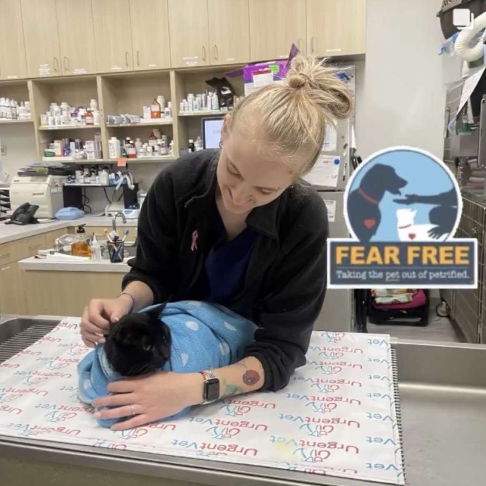 Cat Care Specialist photo 2
