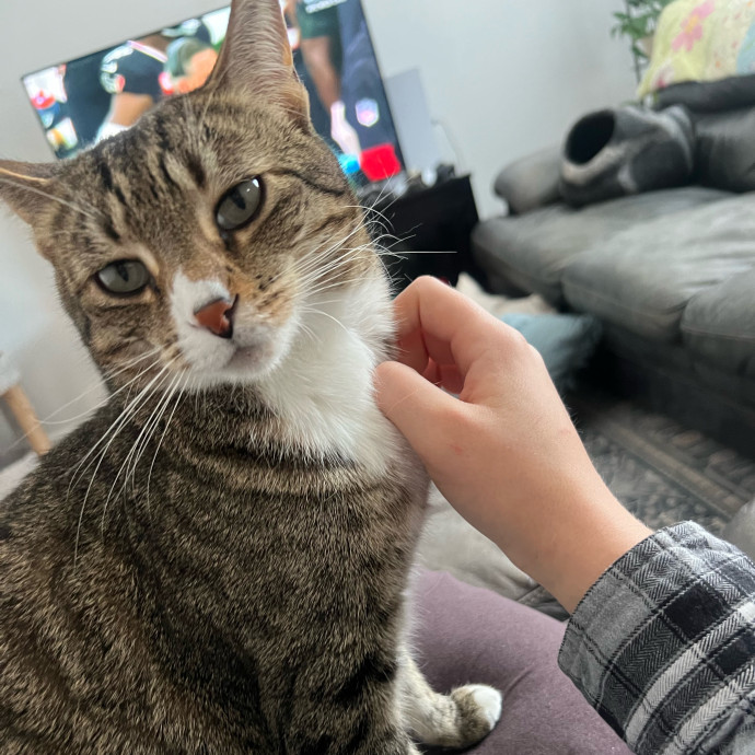 Peyton's Whisker Watch