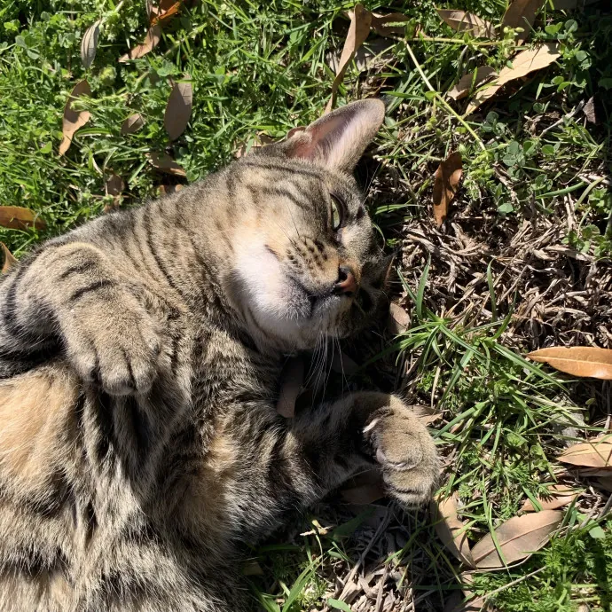 Mia L.