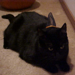 Photo #3 Photo #3