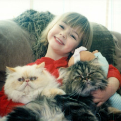 Photo #4