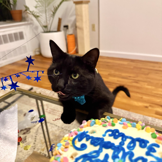 Milly's Meows