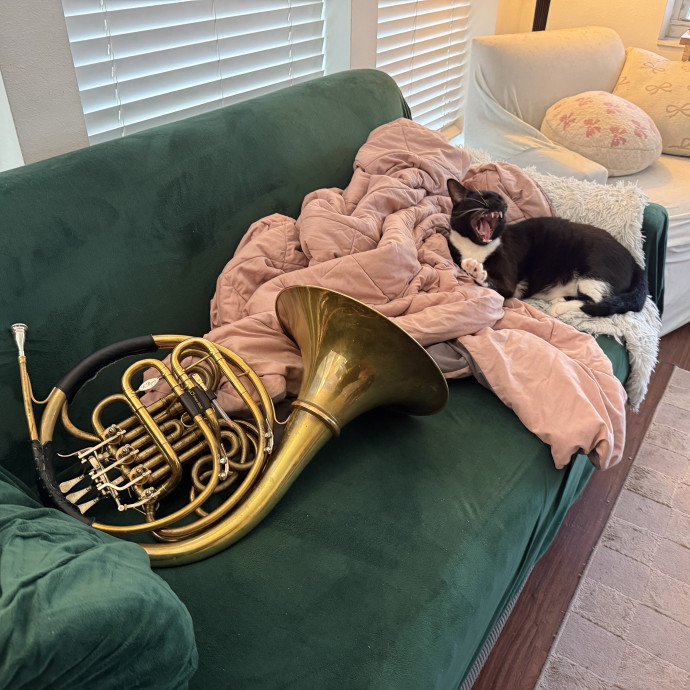 Purrimium Cat Care And Love