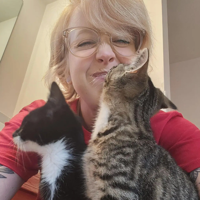 Andy's Kitty Care