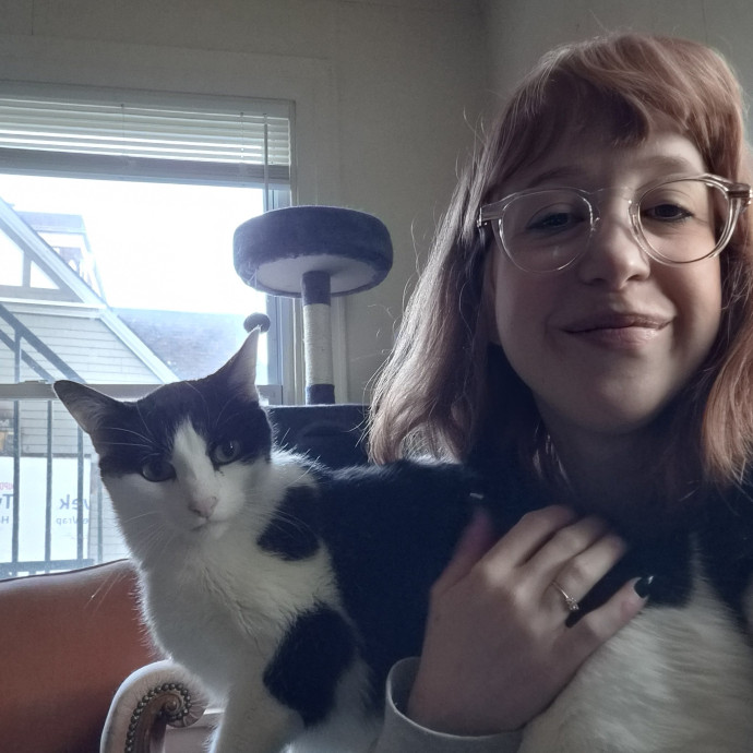 Andy's Kitty Care photo 3
