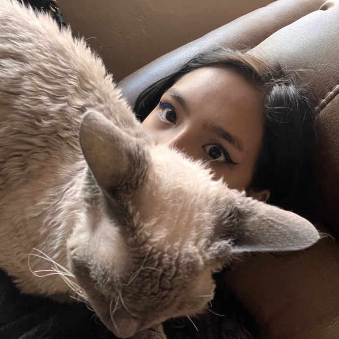 Love Spoiling Every Cat photo 2
