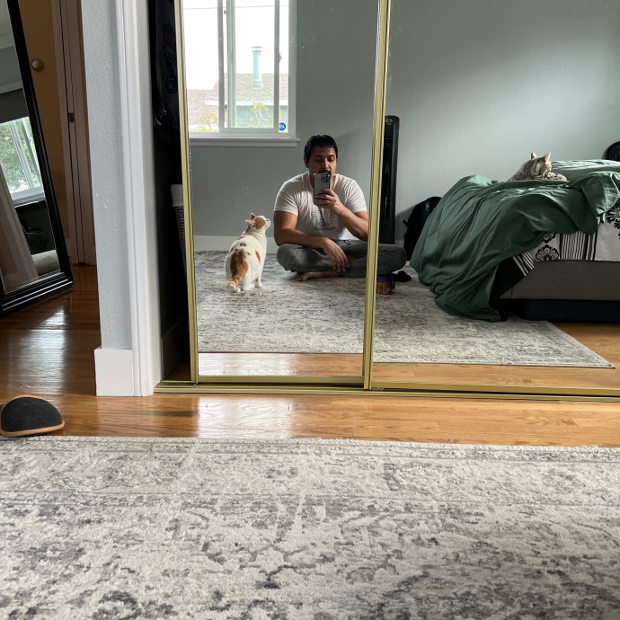 The Cat Hangout