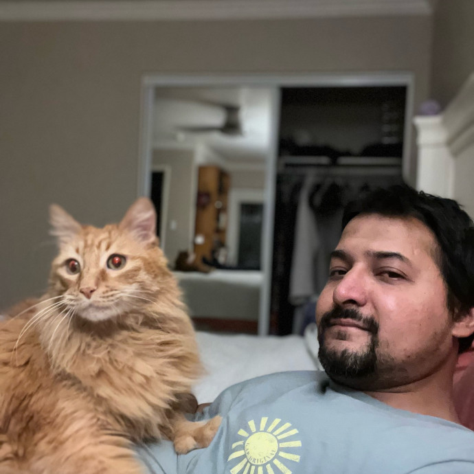 The Cat Hangout