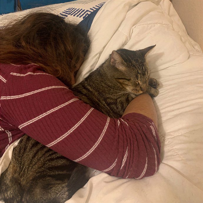Quindi's Purrfect Cat Service Houston