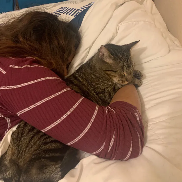 Quindi's Purrfect Cat Service Houston