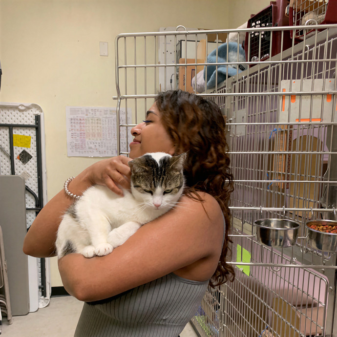 Quindi's Purrfect Cat Service Houston photo 2